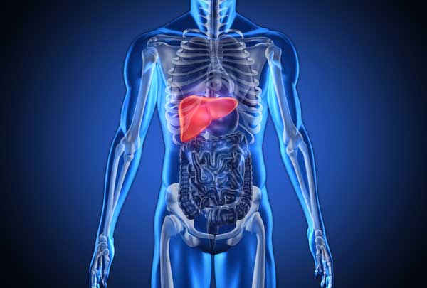 7 Foods That Can Harm Your Liver – Increase Your Awareness!